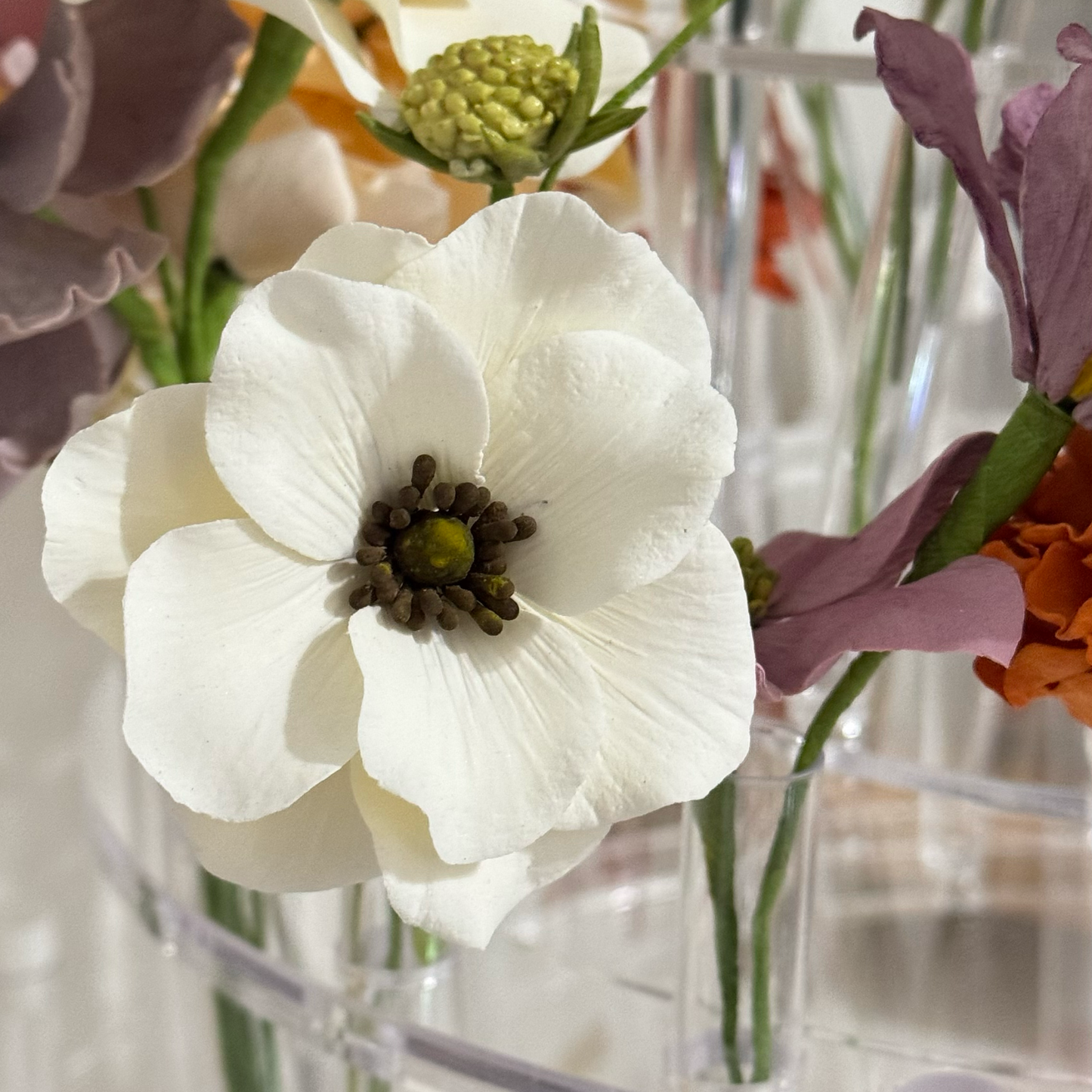 Cream Butterfly Ranunculus