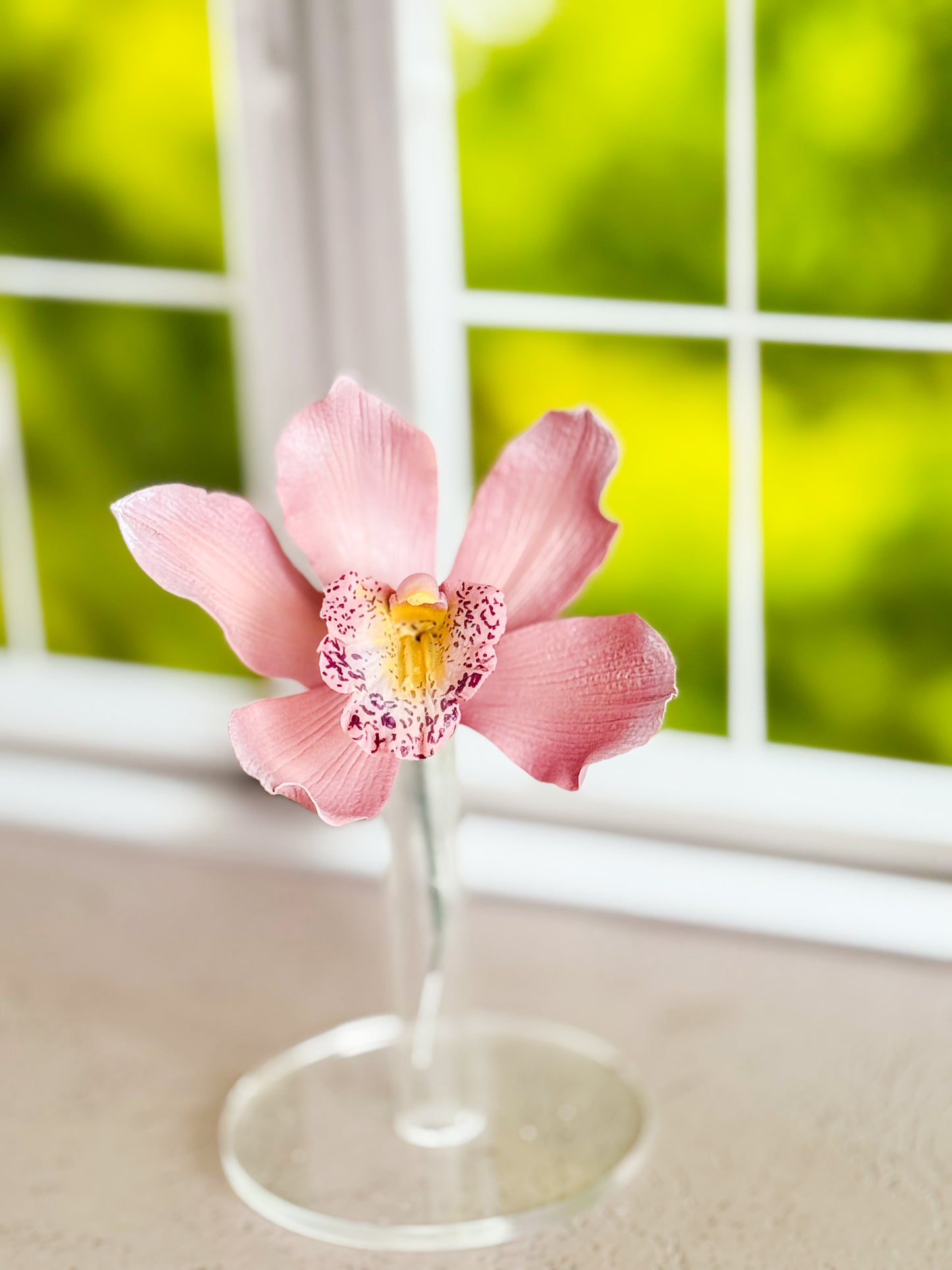 mauve cymbidium orchid tropical sugar flower on a clear stand with a blurred green background