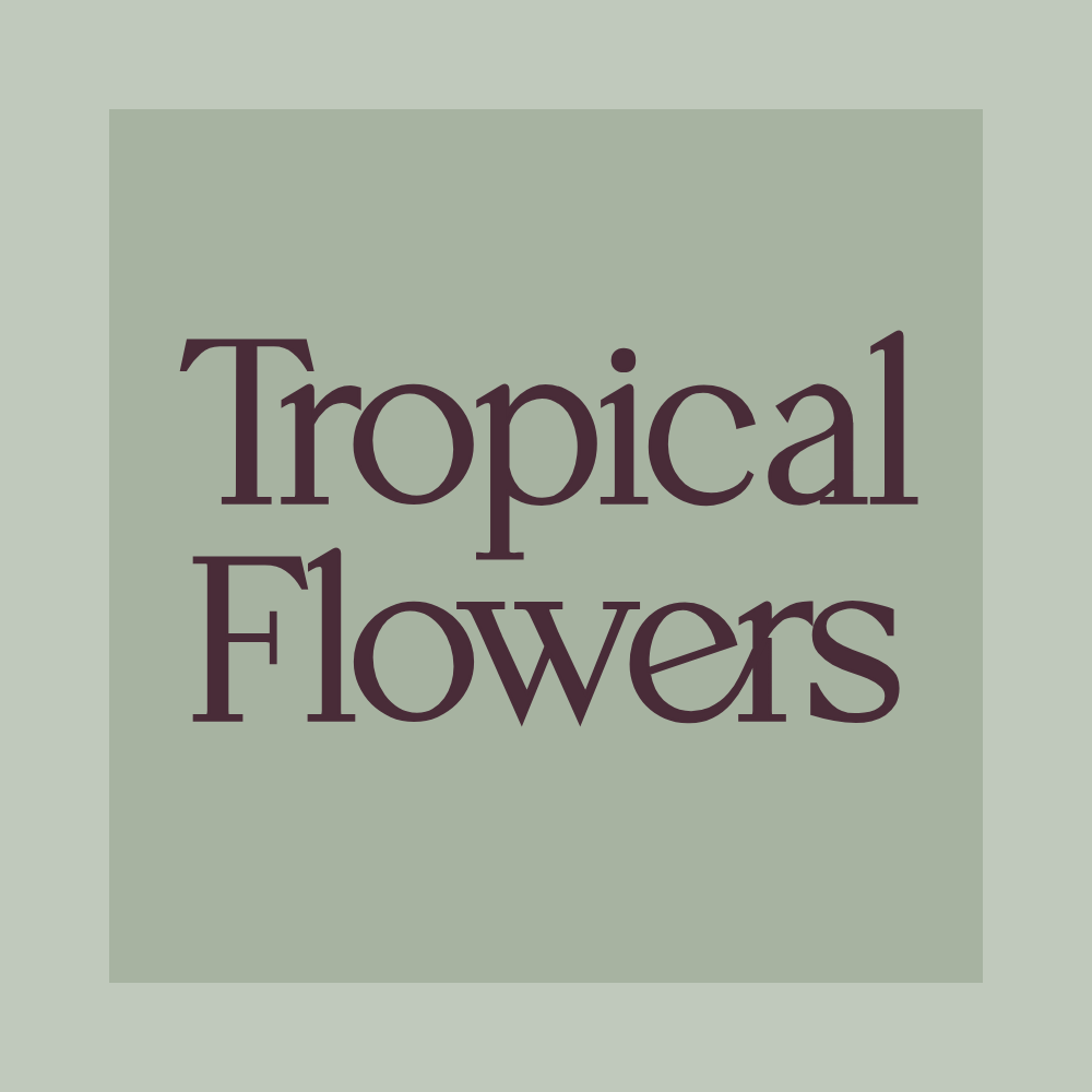 Tropical Sugar Flowers