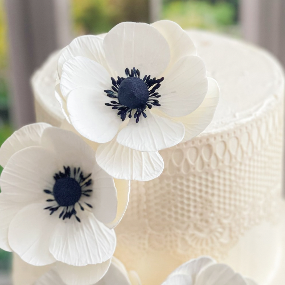 Anemone