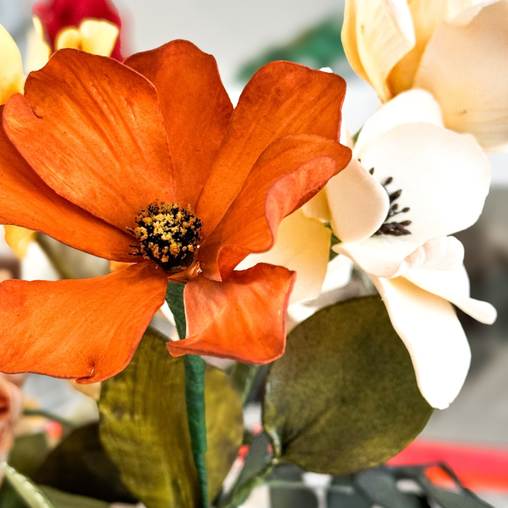 Cosmos