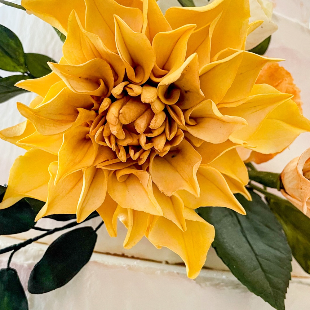 Dahlias