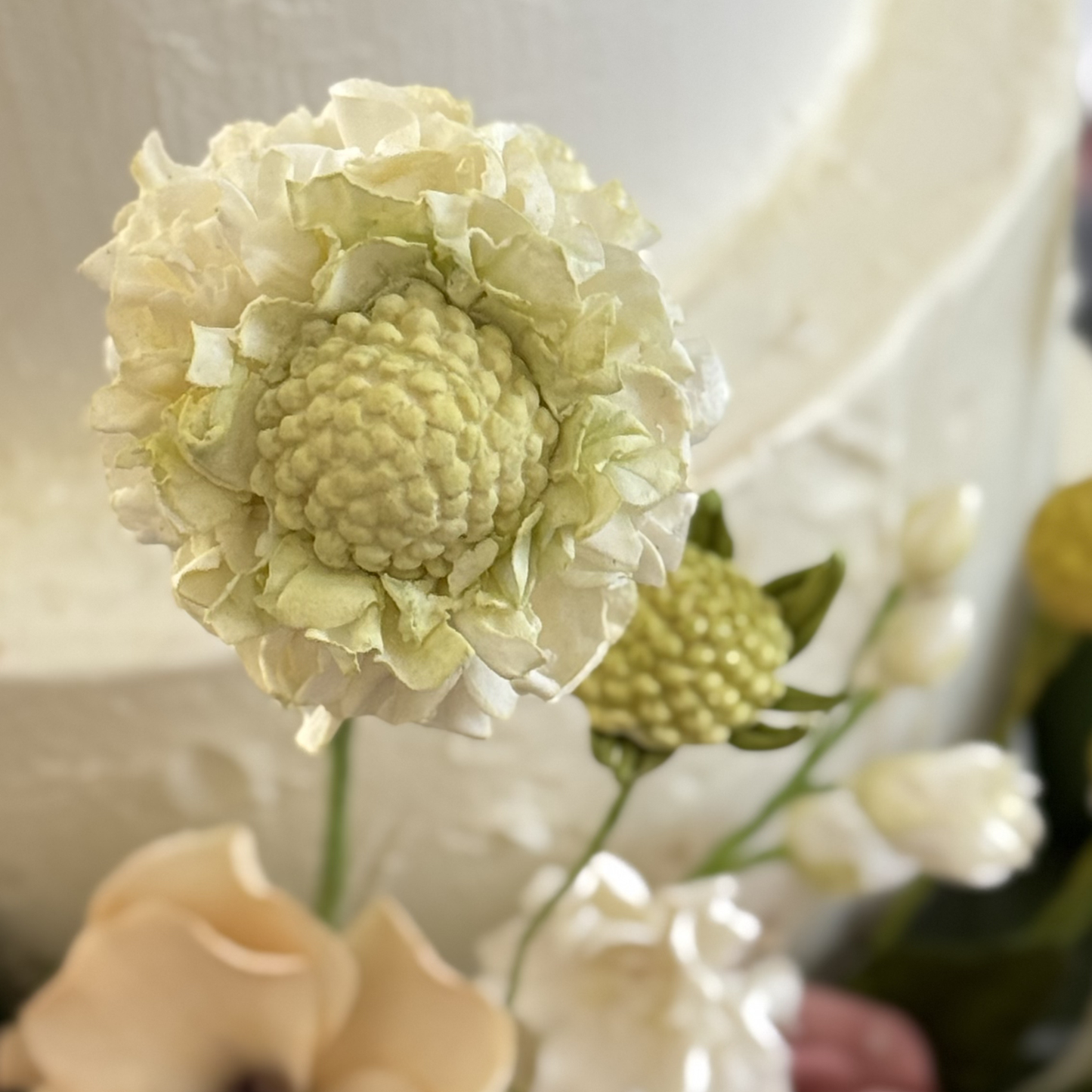 Creamy White Scabiosa Sugar Flower