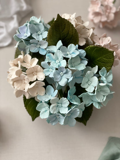 Light Blue Hydrangea Inflorescence Sugar Flower