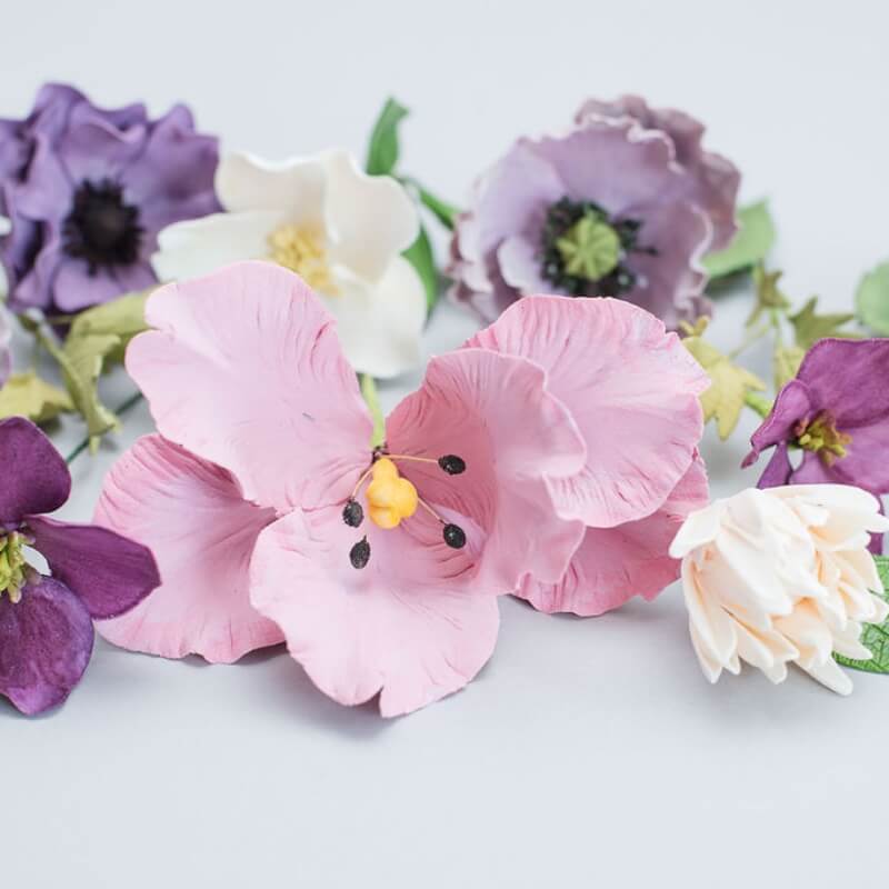 ‘La Belle Epoque’ Tulip image 0