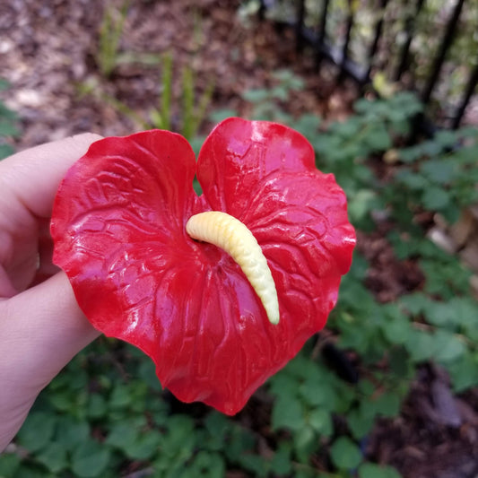 Red Anthurium Sugar Flower