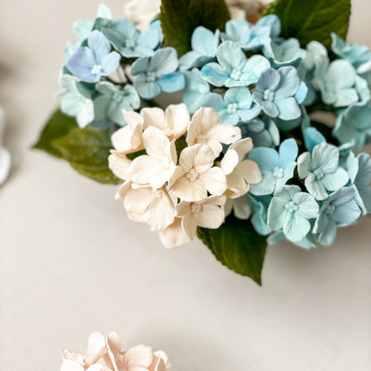 Light Blue Hydrangea Inflorescence Sugar Flower
