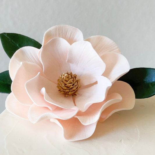 Close-up of a blush pink magnolia sugar flower with green leaves on a light gray background