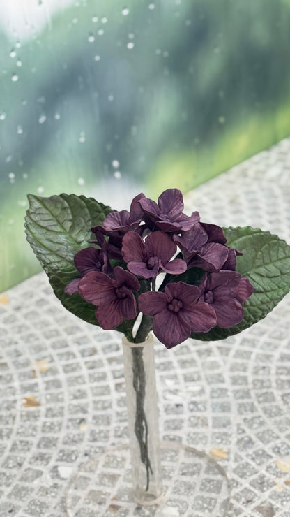 Plum Purple Hydrangea Inflorescence