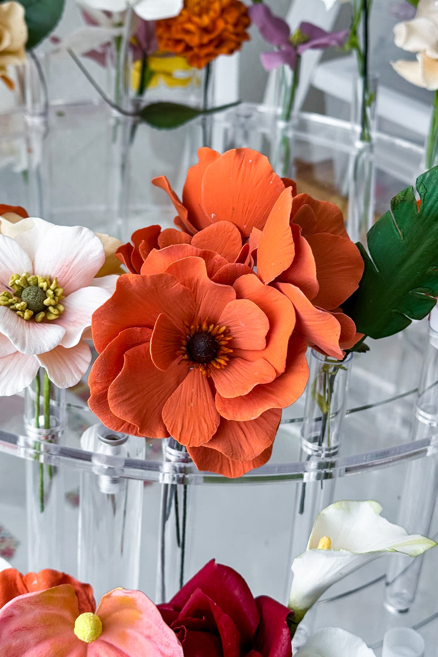 Burnt Orange Butterfly Ranunculus