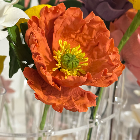 Burnt Orange Poppy