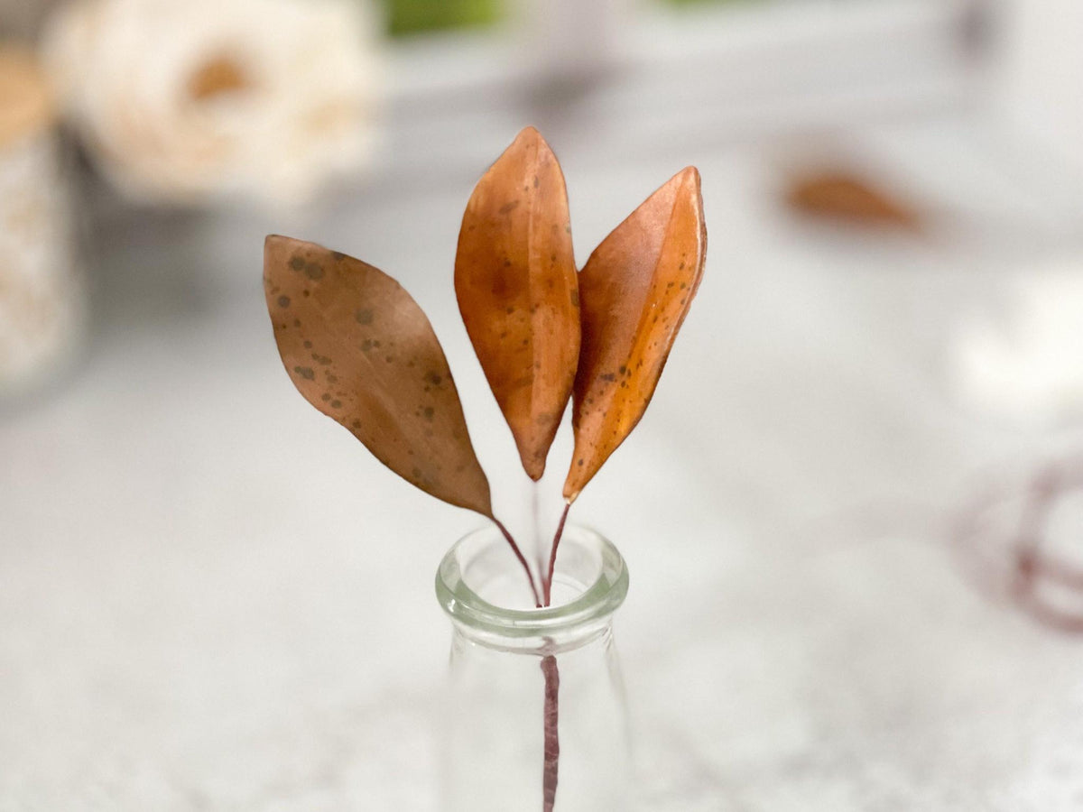close up of three brown dried magnolia leaves for sugar flower arrangements